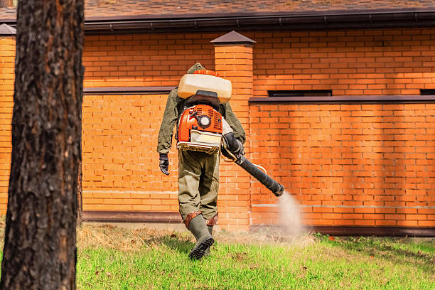Bed Bug Clearance Verification and Documentation in Belle Mead
